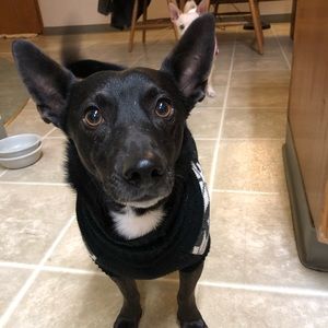 Meet your Posher, Caitlin